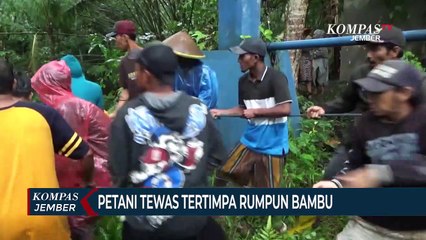 Petani Tewas Tertimpa Rumpun Bambu saat Bersihkan Saluran Air