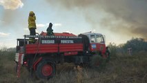 Bomberos luchan por apagar las llamas de los incendios forestales en Argentina