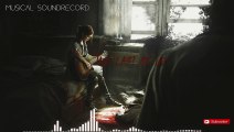 The last of us - acoustic Guitar & Instrumental  Music