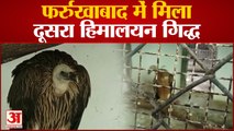 Kanpur News : Farrukhabad में मिला दूसरा हिमालयन गिद्ध, कानपुर चिड़ियाघर में दोनों किए गए क्वारंटाइन