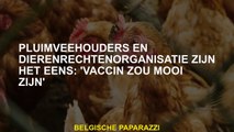 Poultry boeren en dierenrechtenorganisatie zijn het erover eens: 'Vaccin zou leuk zijn'
