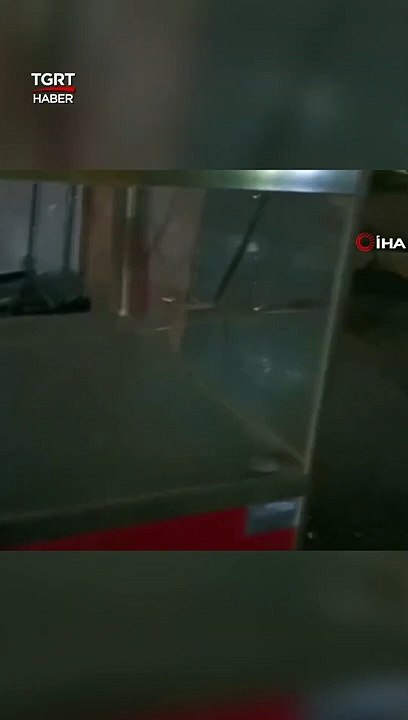 Simit ve Poğaça Tezgahında Fare Cirit Attı #simit #poğaça #fare #shorts