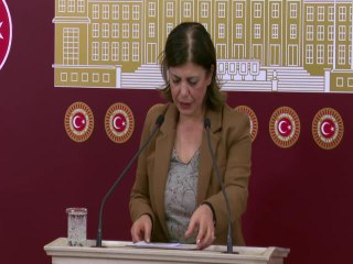 Hdp Grup Başkanvekili Beştaş: "Anayasa Komisyonu Görüşmelerine Katılmayacağız"