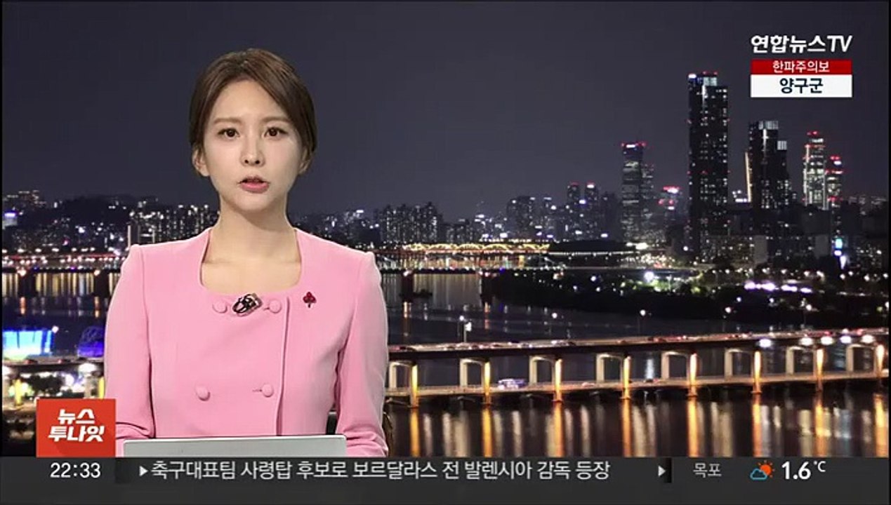 외신 "대한축구협회, 보르달라스 전 발렌시아 감독 접촉"