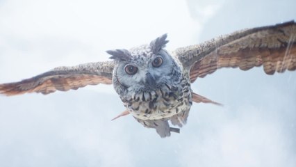 Hogwarts Legacy Official Cinematic Trailer