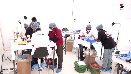 હવે મનુષ્યના હેર ટ્રાન્સપ્લાન્ટની જેમ પક્ષીઓની તૂટેલી પાંખોનું પણ ટ્રાન્સપ્લાન્ટ થશે