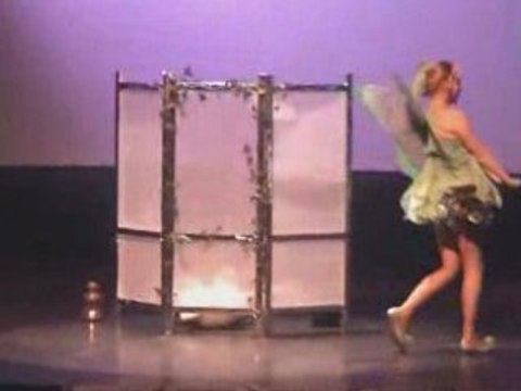 Cosplay individuel Fee Clochette Saint-Lô 2008 part5