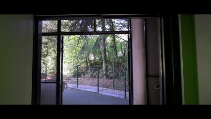 Rendez-vous au treizième étage : l'ascenseur en panne ! 🚧