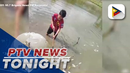 P12-M lost after fish kill in Lake Sebu, South Cotabato