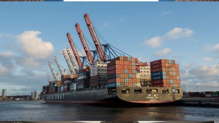 Entrevista a Nelsito Roman, El agente aduanal mas capacitado de Republica Dominicana