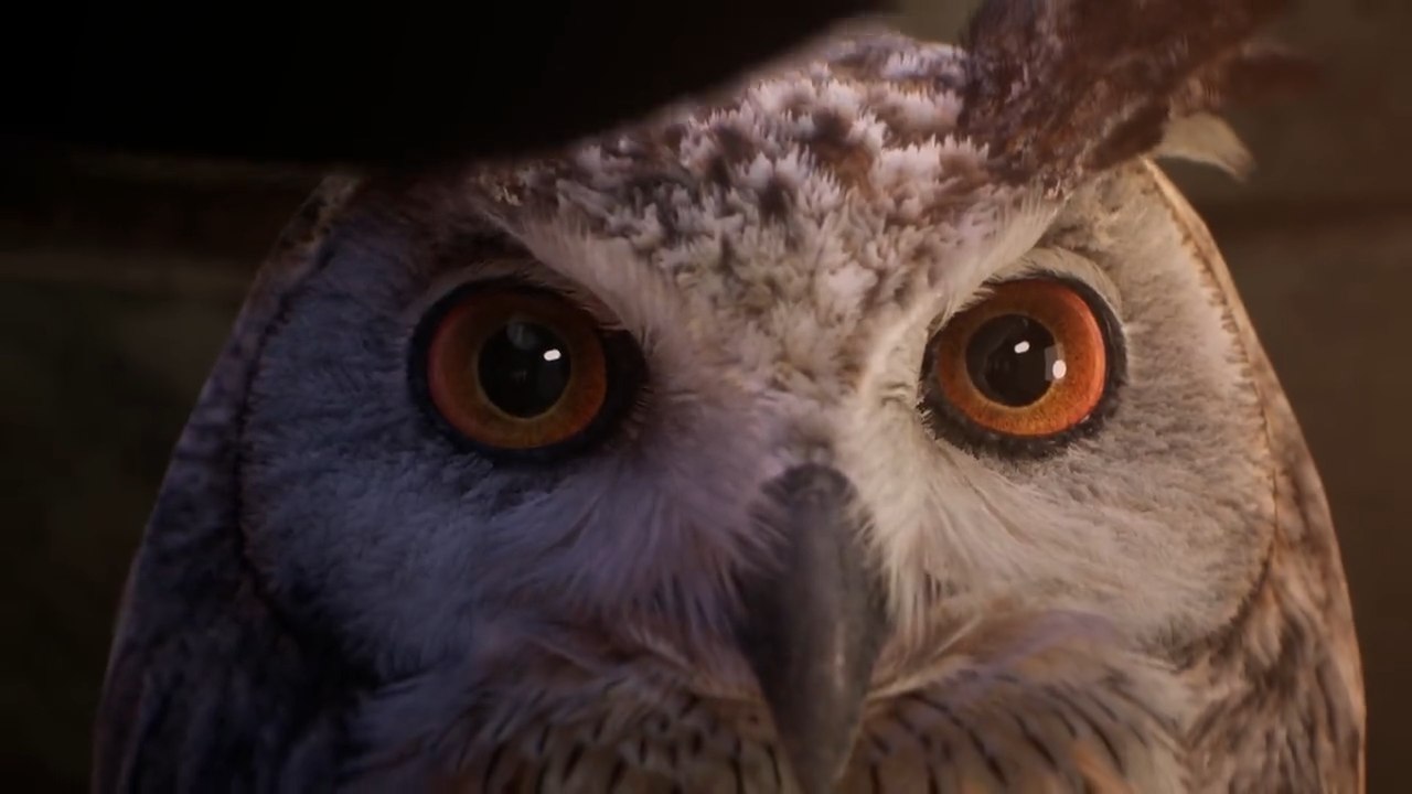 Último avance de Hogwarts Legacy