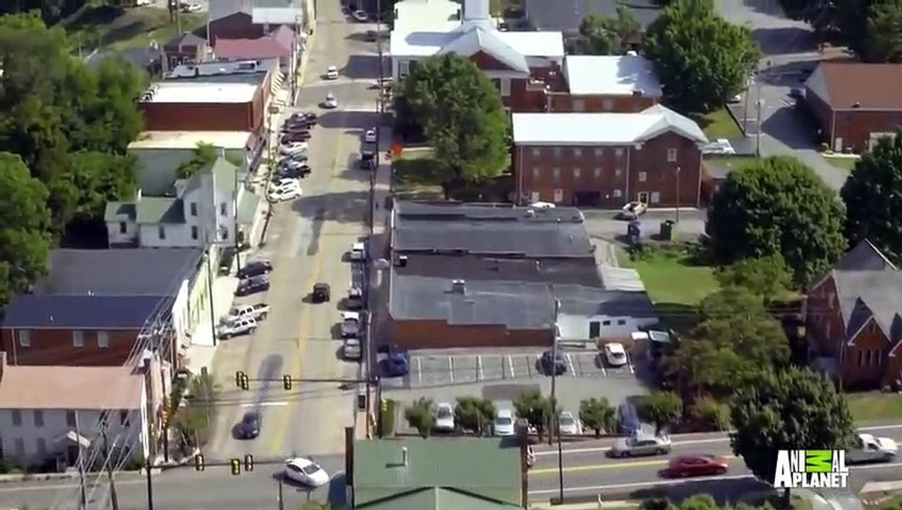 I Was Prey - Se1 - Ep04 - Silent Scream HD Watch