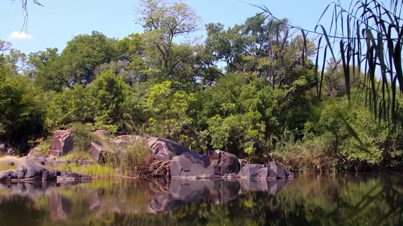 I Was Prey - Se2 - Ep03 - Unseen Assailant HD Watch