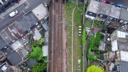 لندن تحذو حذو نيويورك وباريس مع الاستعداد لإقامة حديقة نباتية مرتفعة