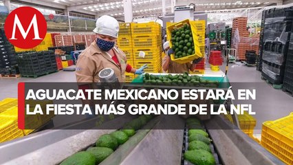 Dan el banderazo inicial a exportación de aguacate michoacano para el Super Bowl LVII
