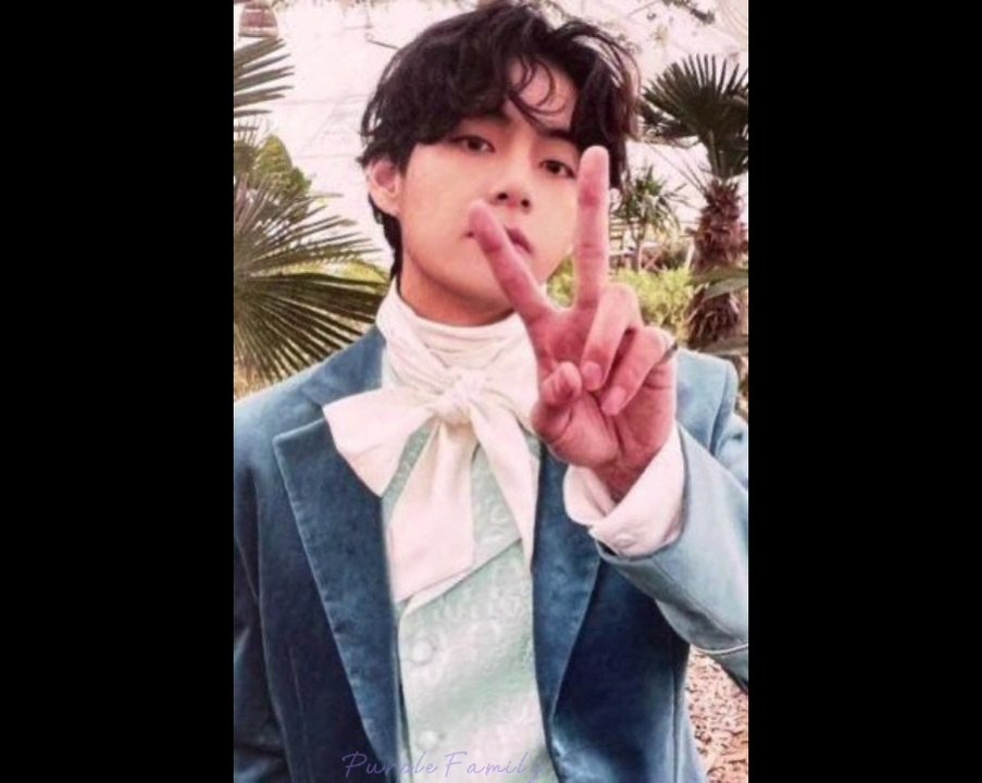 Me, Myself and V 'Veautiful Days' [SCANS] Photobook 2022