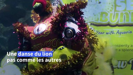 Nouvel An lunaire: danse du lion sous-marine dans un aquarium malaisien
