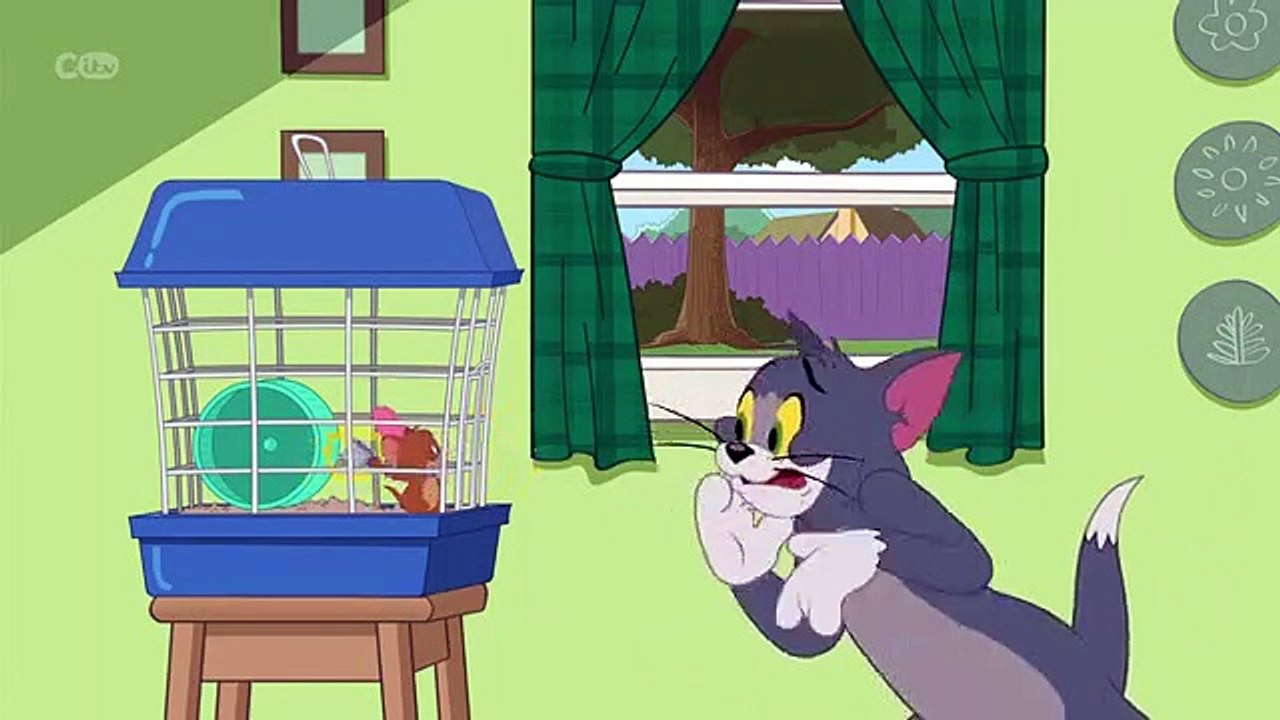 The Tom and Jerry Show - Se3 - Ep22 - Vampire State HD Watch
