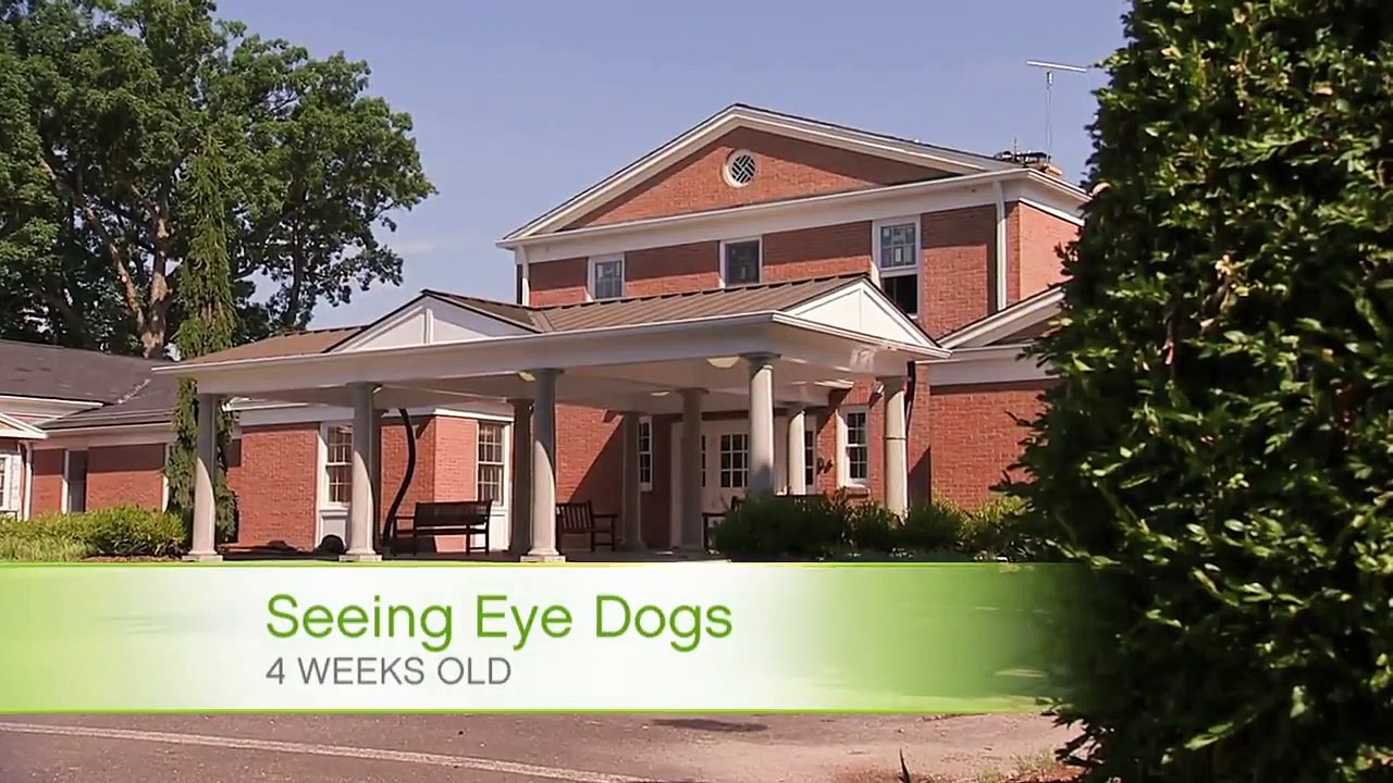 Too Cute! - Ep46 HD Watch