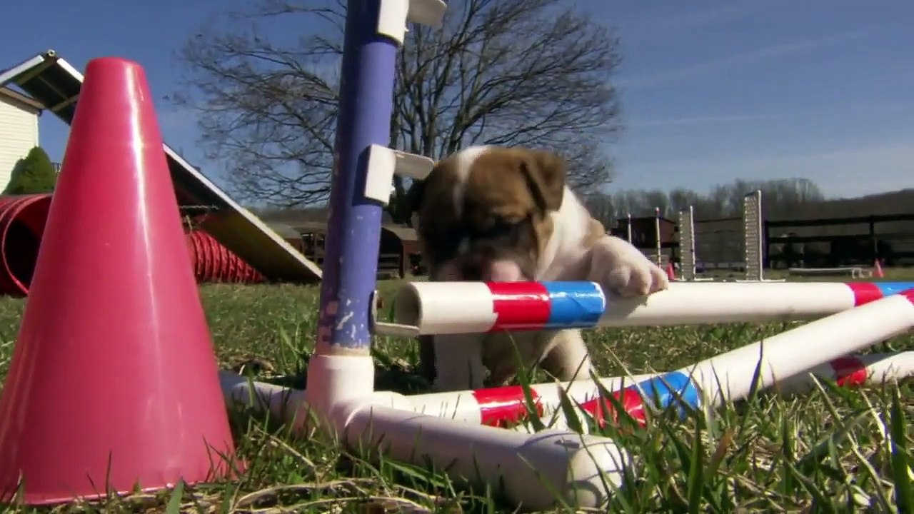 Too Cute! - Ep51 HD Watch