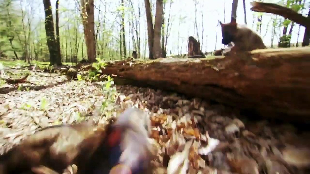 Too Cute! - Ep55 HD Watch