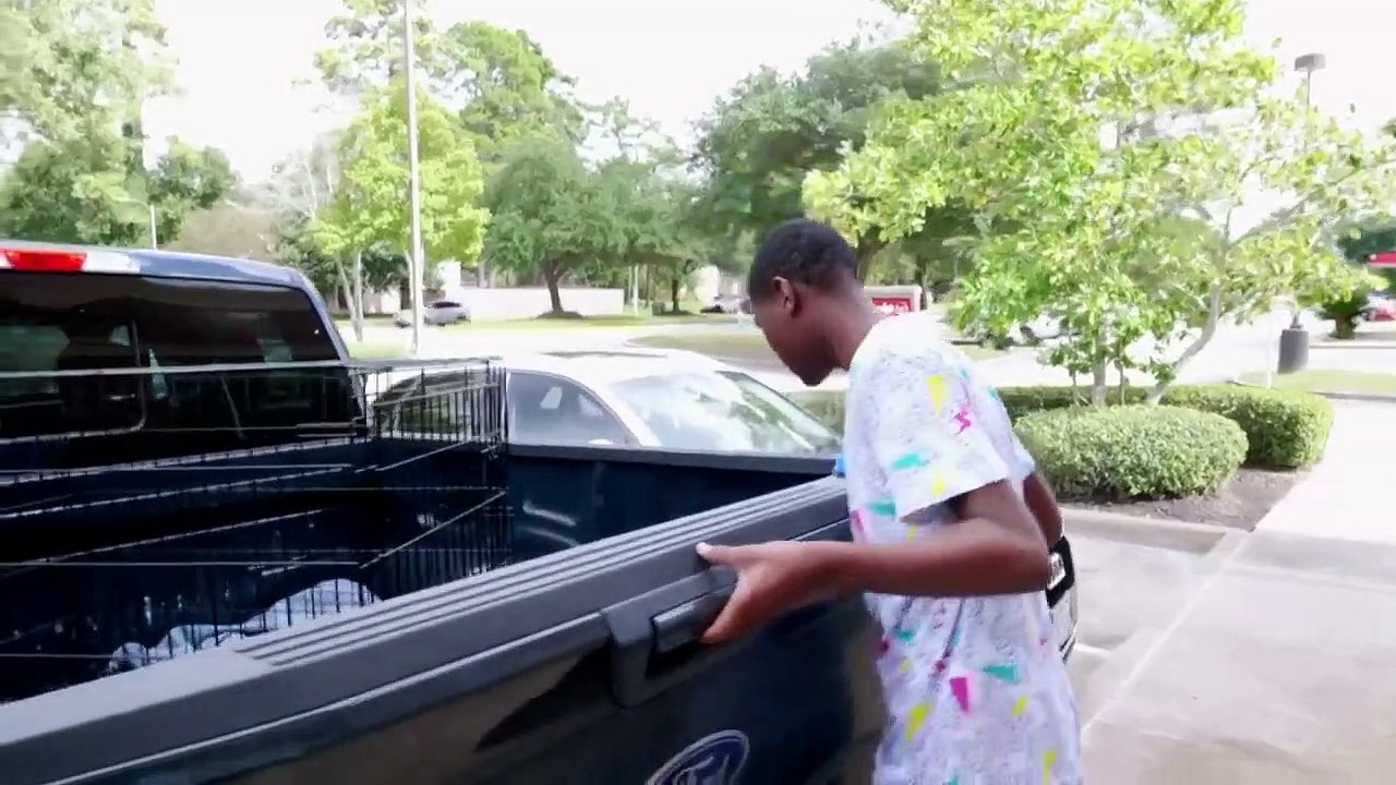 The Vet Life - Se6 - Ep05 Falcon Festiva HD Watch