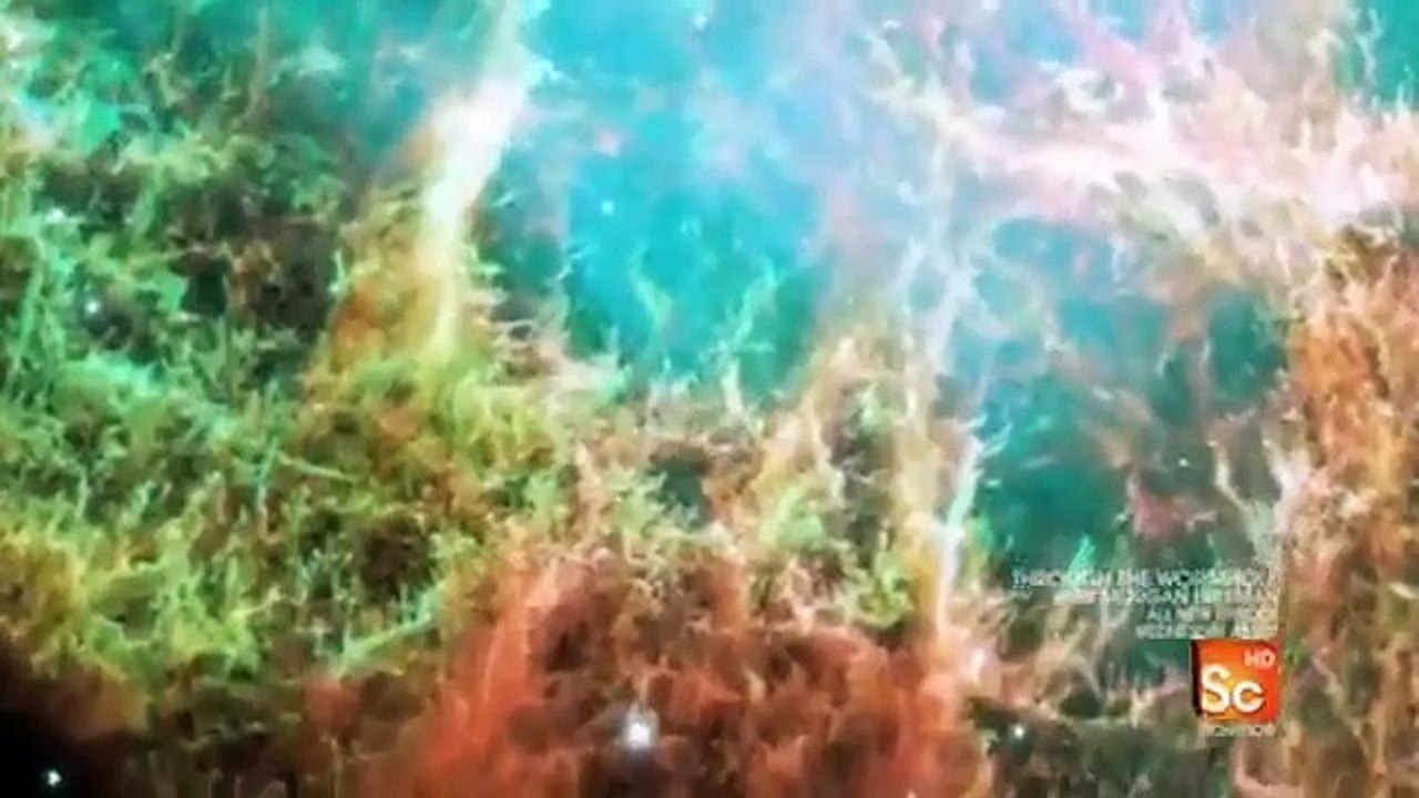 Through the Wormhole - Se1 - Ep02 HD Watch