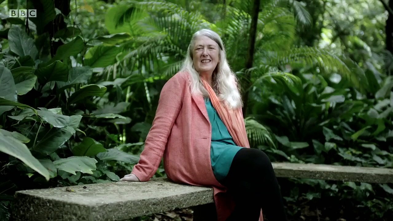 Civilisations (2018) - Se1 - Ep02 - How Do We Look HD Watch