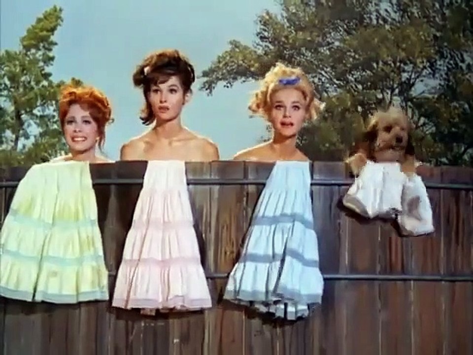 Petticoat Junction - Se3 - Ep31 HD Watch