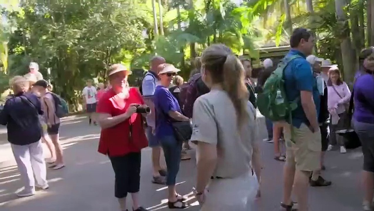 Crikey! it's the irwins - se1 - ep11 - the big move hd watch