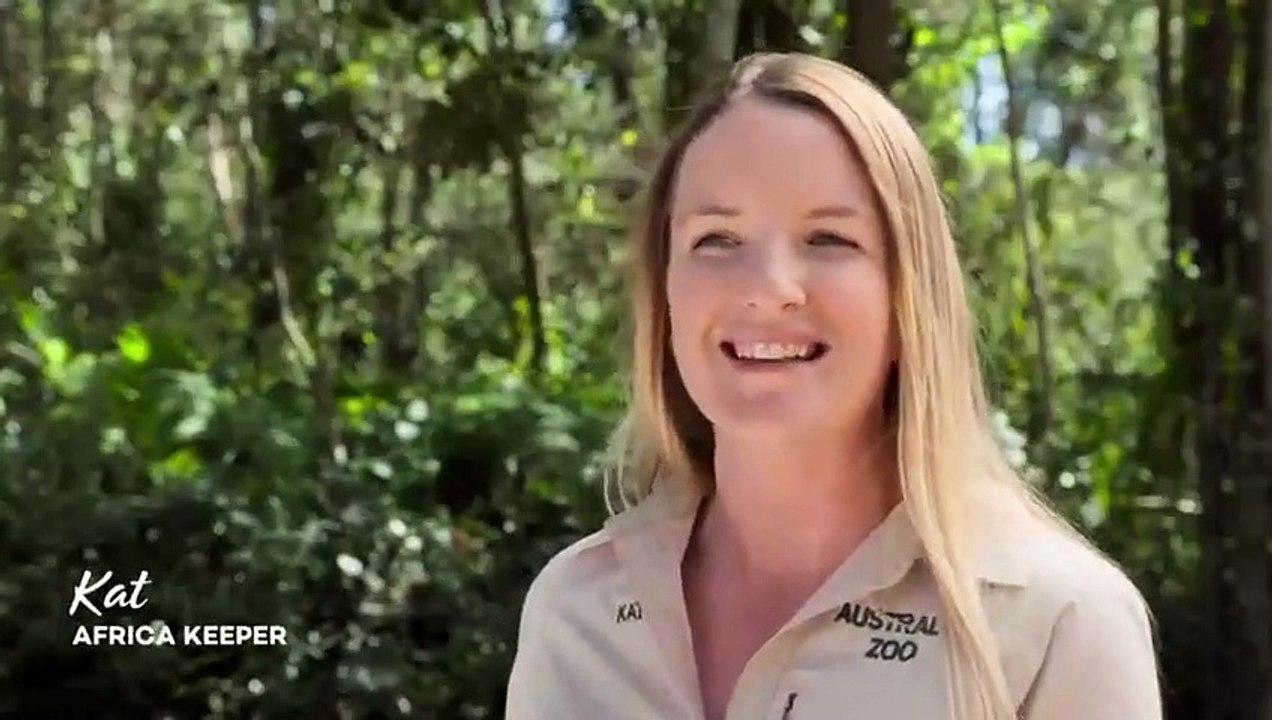 Crikey! It's the Irwins - Se1 - Ep13 - Tortoise First Date HD Watch