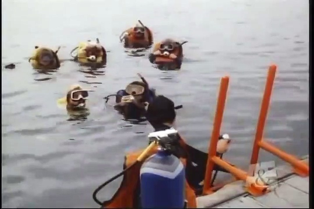 T.J. Hooker - Se3 - Ep19 HD Watch