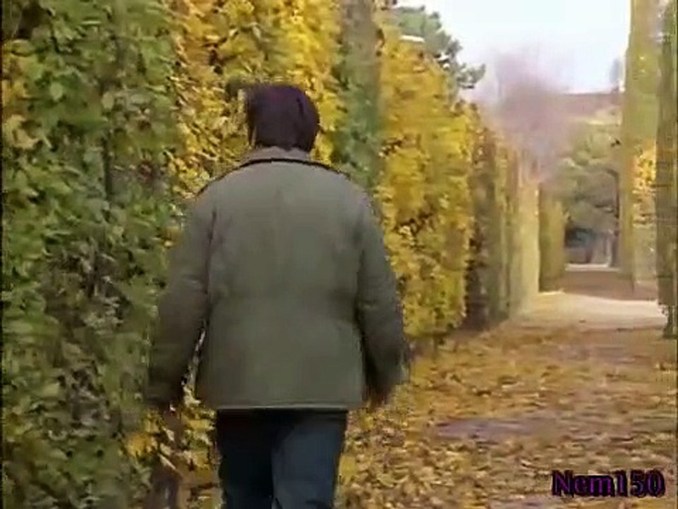 Rex - A Cop's Best Friend - Se1 - Ep06 HD Watch