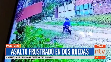 Asalto se vio frustrado por la intervención del perro de la víctima