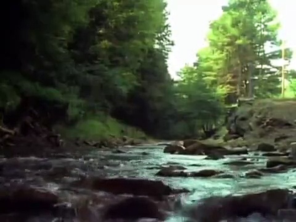 Tales From the Darkside - Se2 - Ep21 - Strange Love HD Watch