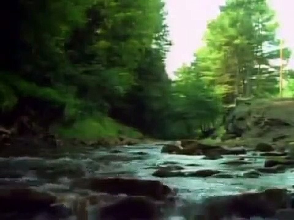 Tales From the Darkside - Se3 - Ep06 - Black Widows HD Watch