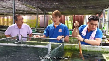 Le Prawn Park - Se01 - Ep12 Watch HD