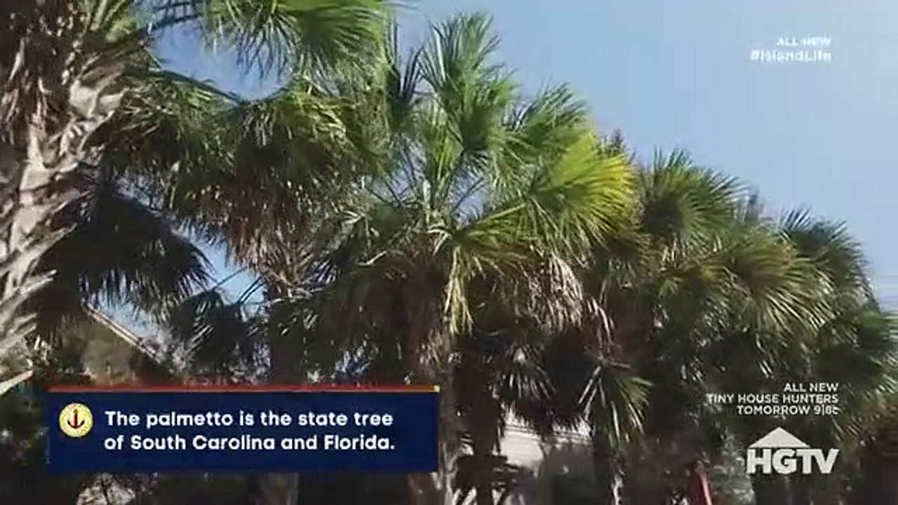 Island Life - Se8 - Ep10 - Family Fun On Isle Of Palms HD Watch
