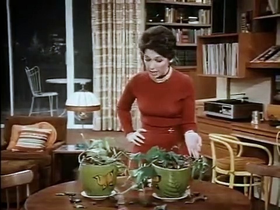 The Bob Newhart Show - Se2 - Ep18 HD Watch