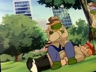 Teenage Mutant Ninja Turtles (1987) S05 E015 Turtle Of A Thousand Faces