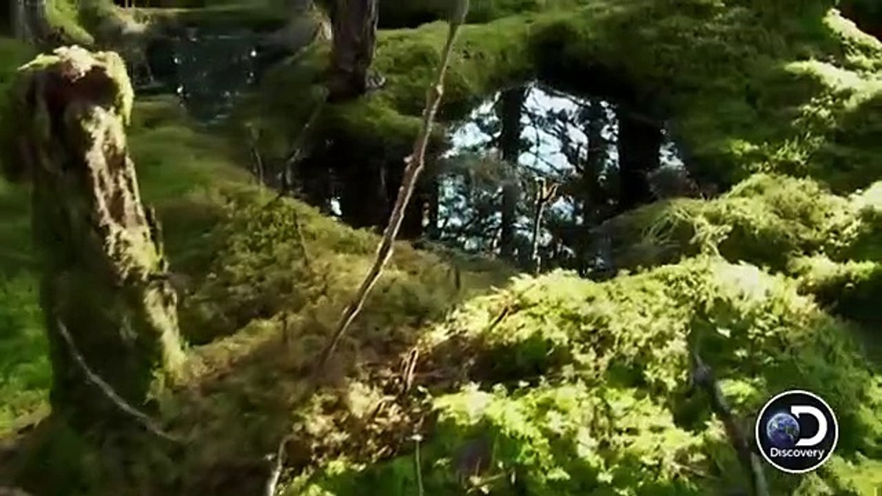 Kodiak - Se1 - Ep01 HD Watch