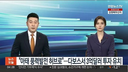 윤대통령 "아태 풍력발전 허브로"…다보스서 3억달러 투자 유치