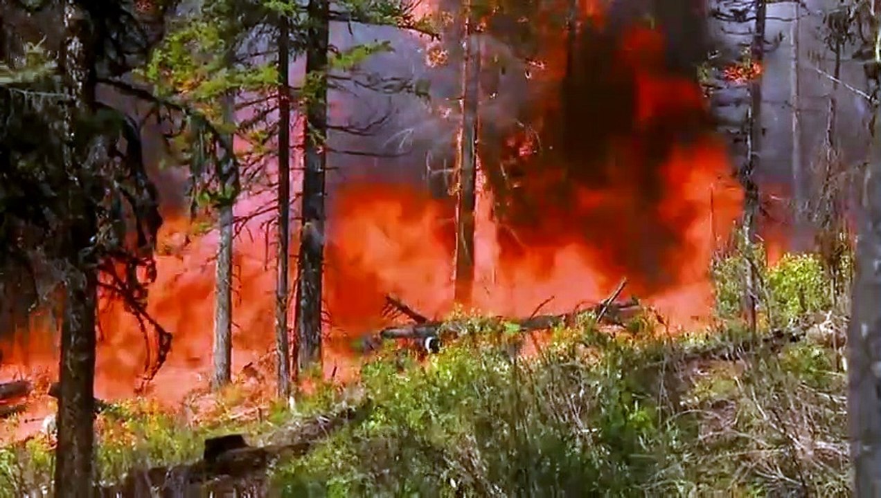 Mysteries at the Museum - Se23 - Ep09 - The Loch Ness Monster Lives HD Watch