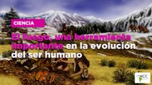 El fuego, una herramienta importante en la evolución del ser humano