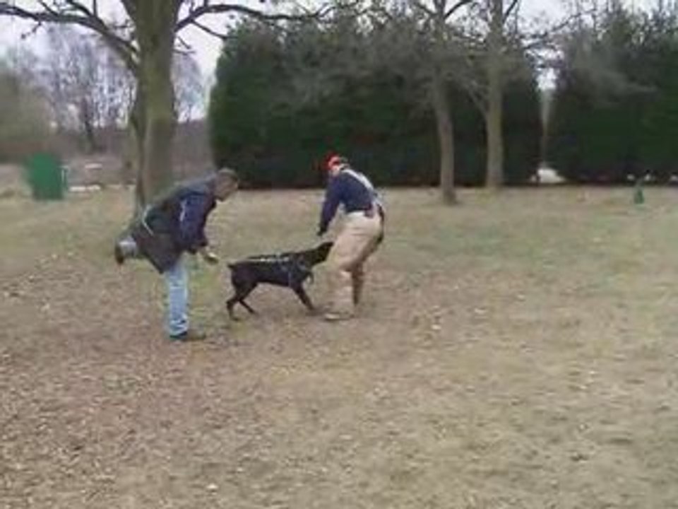 Venus mordant chambre a air droite