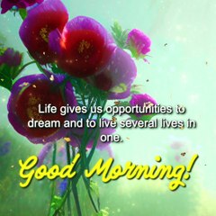 Good morning | See how beautiful life is | beautiful message to you