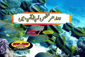 Badsha hota hai | بادشاہ ہوتاھے | qarar__typist