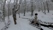 Prima neve del 2023 a Cesena, il Fumaiolo è una favola