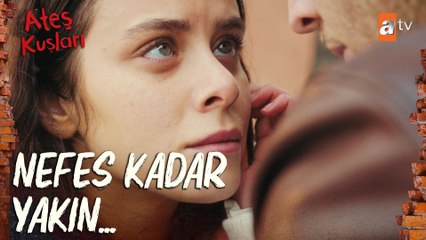 Gülayşe ilk defa Barbaros'a bu kadar yakın... - Ateş Kuşları 2. Bölüm