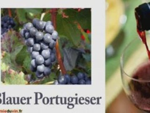 Les vins d'Autriche : cours académie du vin